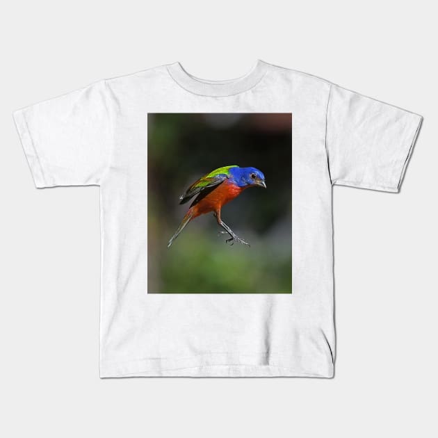 Painted Bunting Bird in Suspension Kids T-Shirt by candiscamera